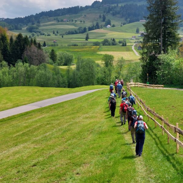Impressionen von der spirituellen Wanderung von Alosen nach Einsiedeln